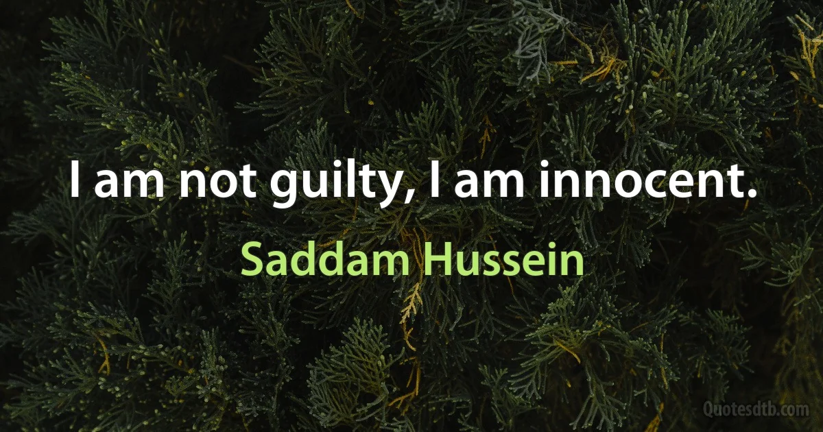 I am not guilty, I am innocent. (Saddam Hussein)