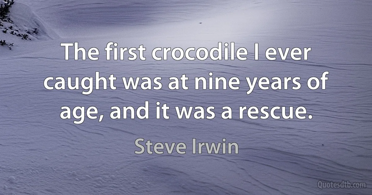 The first crocodile I ever caught was at nine years of age, and it was a rescue. (Steve Irwin)