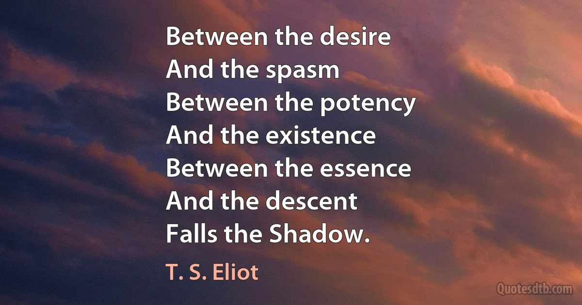 Between the desire
And the spasm
Between the potency
And the existence
Between the essence
And the descent
Falls the Shadow. (T. S. Eliot)