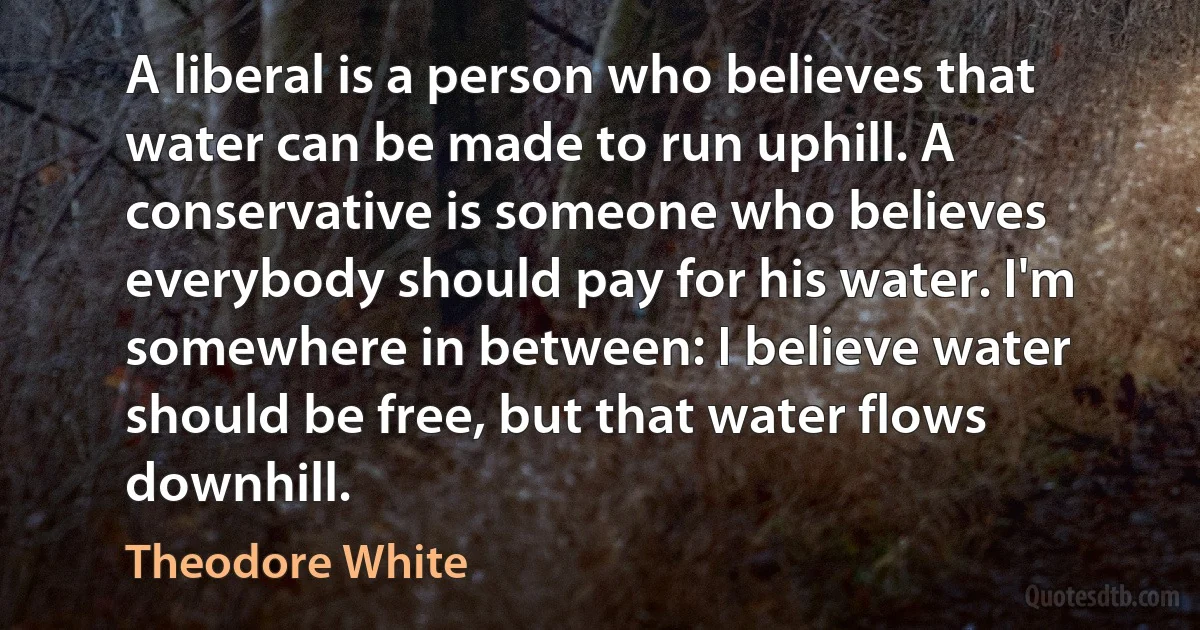 A liberal is a person who believes that water can be made to run uphill. A conservative is someone who believes everybody should pay for his water. I'm somewhere in between: I believe water should be free, but that water flows downhill. (Theodore White)