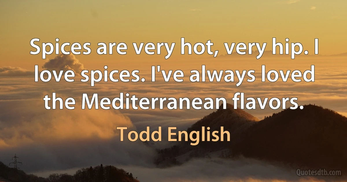 Spices are very hot, very hip. I love spices. I've always loved the Mediterranean flavors. (Todd English)