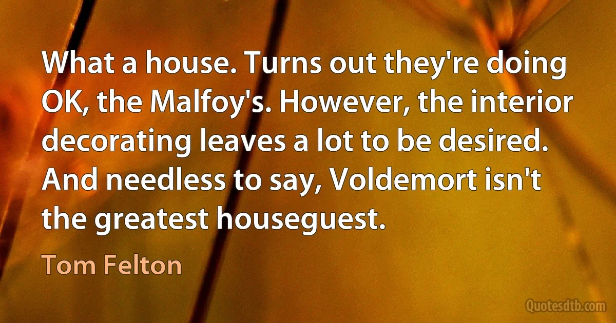 What a house. Turns out they're doing OK, the Malfoy's. However, the interior decorating leaves a lot to be desired. And needless to say, Voldemort isn't the greatest houseguest. (Tom Felton)