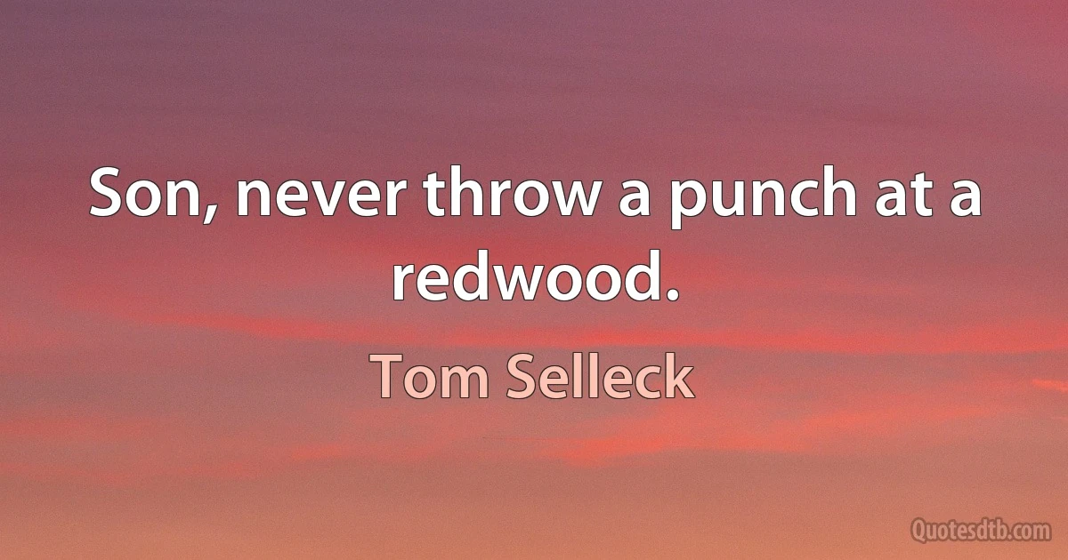 Son, never throw a punch at a redwood. (Tom Selleck)