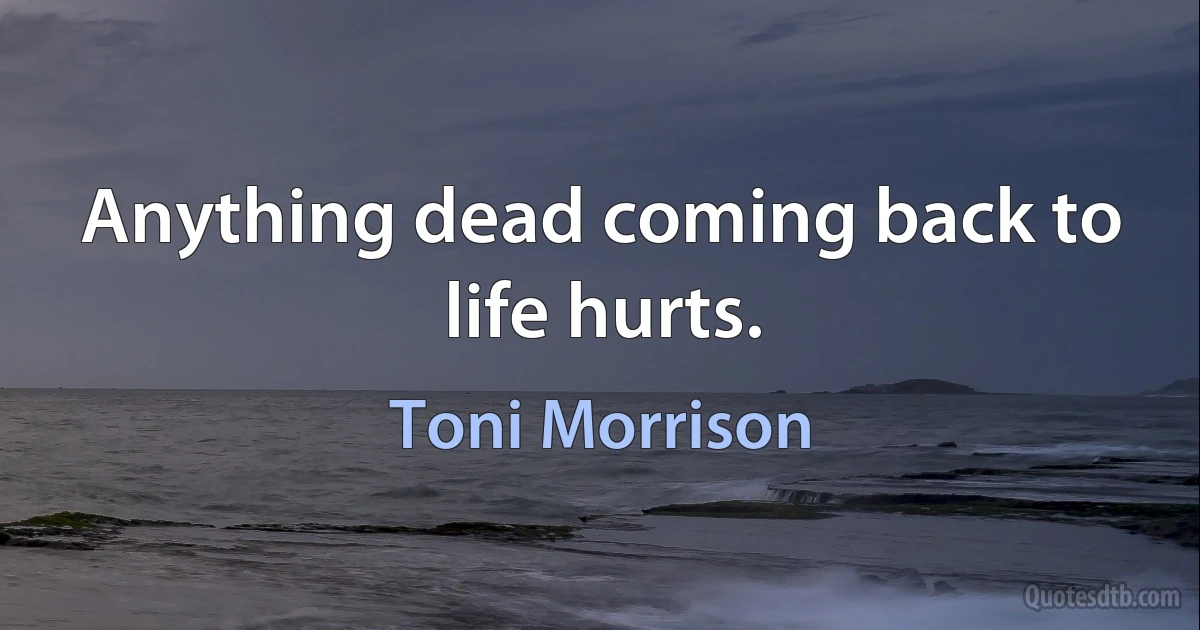 Anything dead coming back to life hurts. (Toni Morrison)