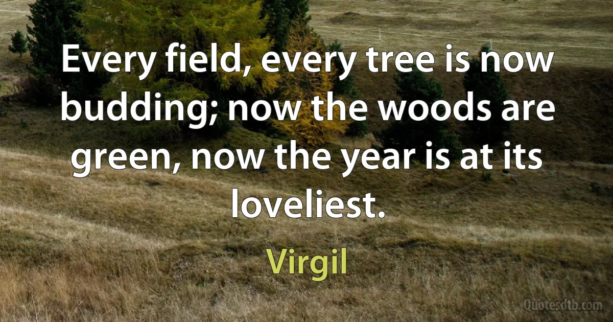 Every field, every tree is now budding; now the woods are green, now the year is at its loveliest. (Virgil)