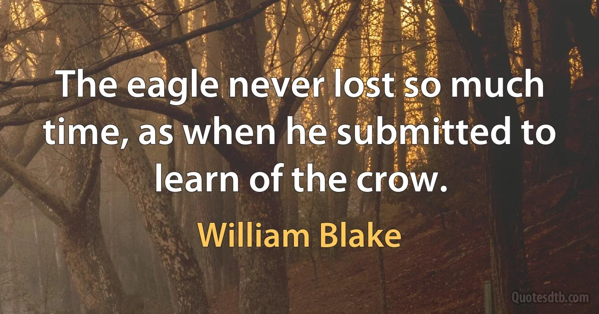 The eagle never lost so much time, as when he submitted to learn of the crow. (William Blake)