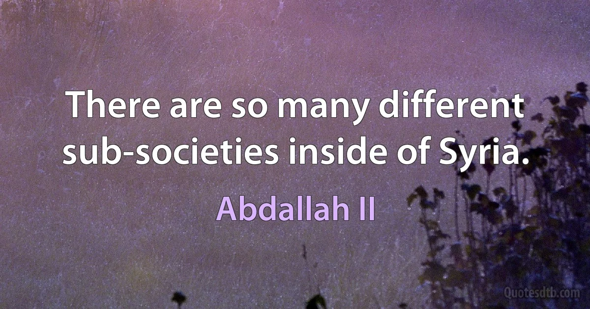 There are so many different sub-societies inside of Syria. (Abdallah II)