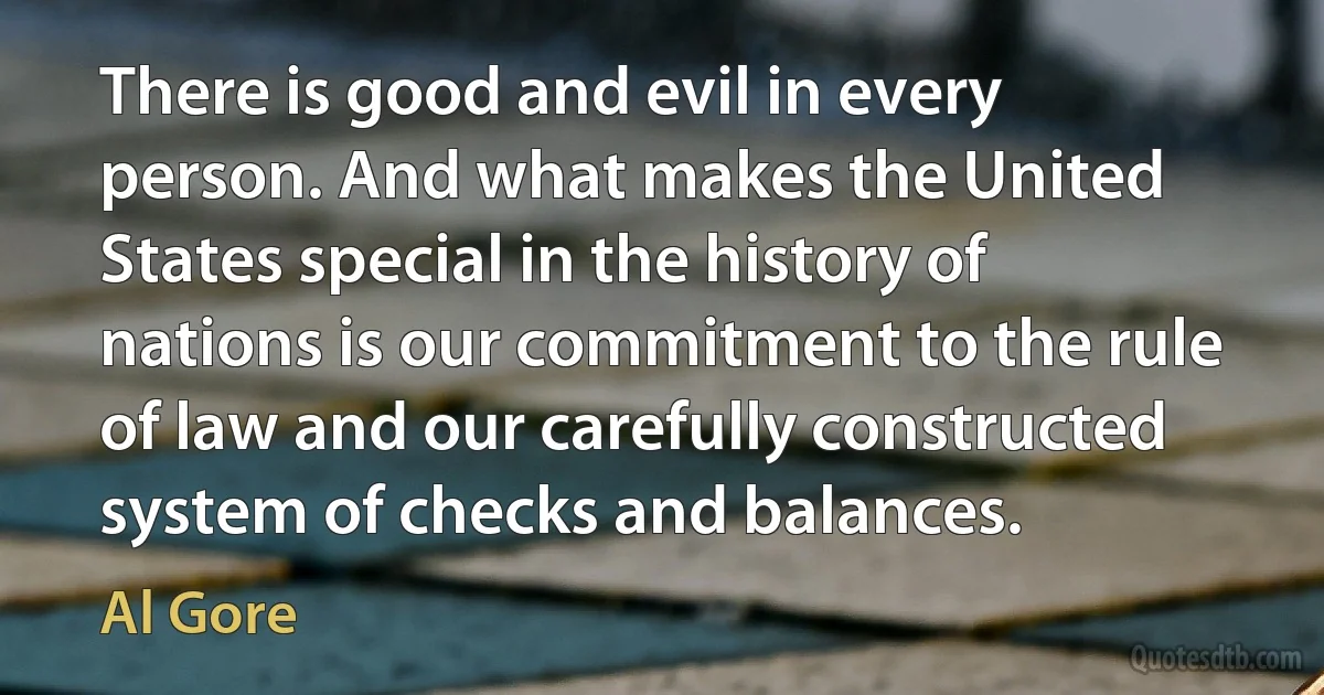 There is good and evil in every person. And what makes the United States special in the history of nations is our commitment to the rule of law and our carefully constructed system of checks and balances. (Al Gore)