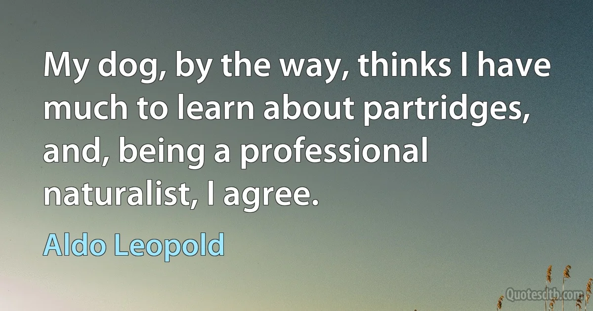 My dog, by the way, thinks I have much to learn about partridges, and, being a professional naturalist, I agree. (Aldo Leopold)