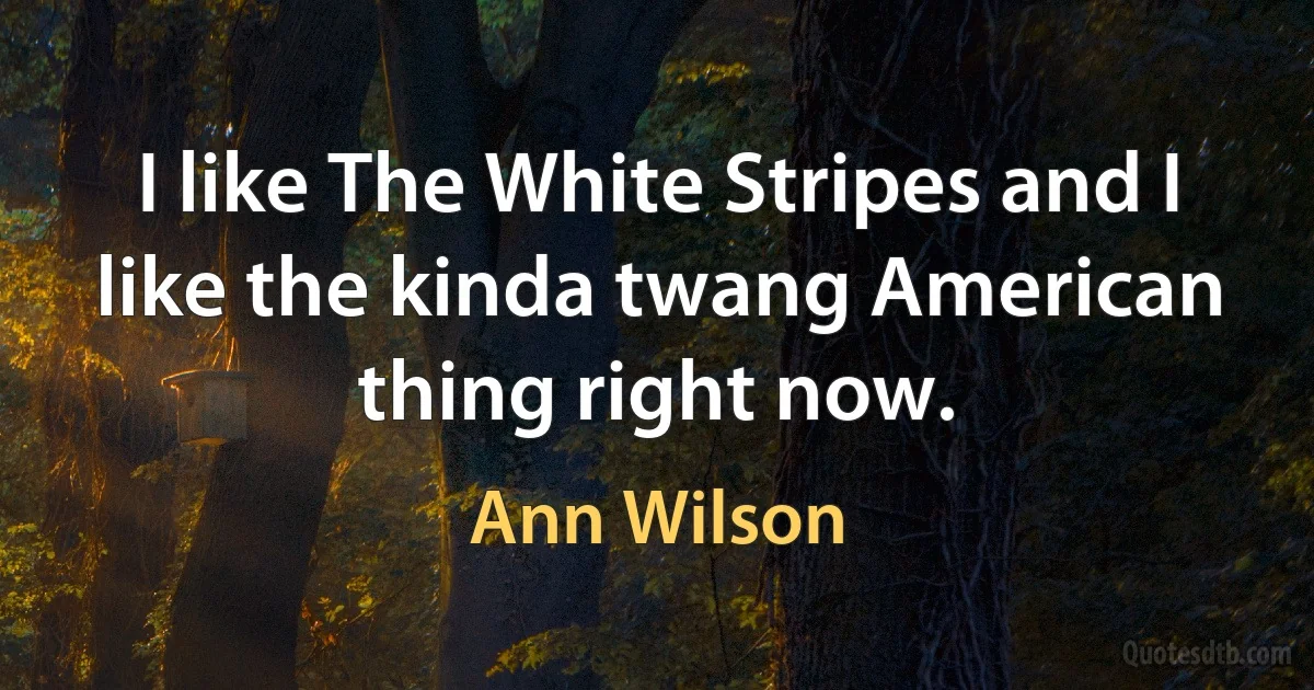 I like The White Stripes and I like the kinda twang American thing right now. (Ann Wilson)