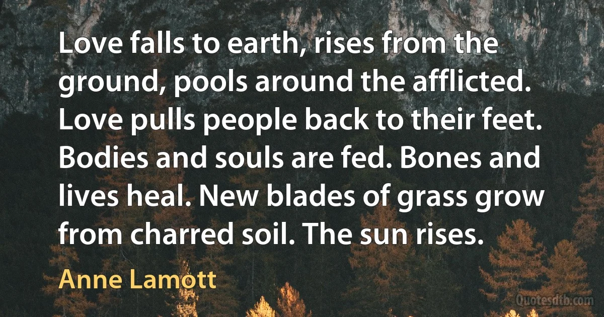 Love falls to earth, rises from the ground, pools around the afflicted. Love pulls people back to their feet. Bodies and souls are fed. Bones and lives heal. New blades of grass grow from charred soil. The sun rises. (Anne Lamott)