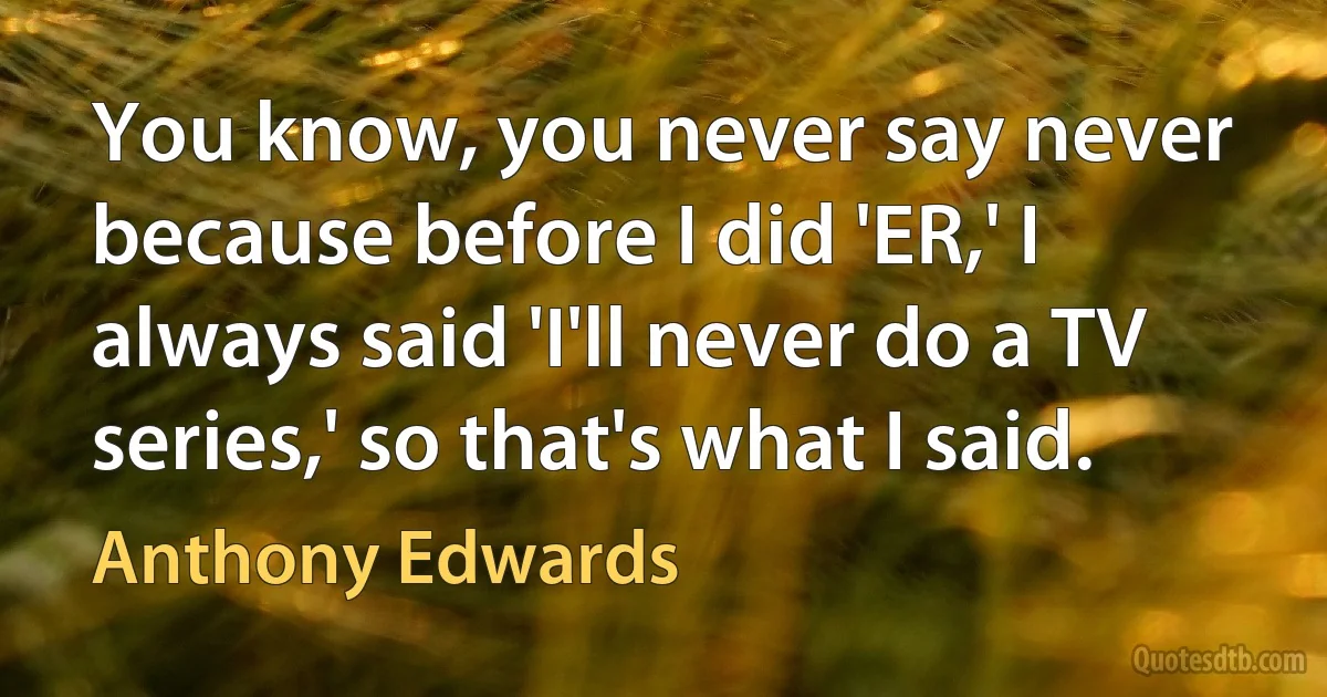 You know, you never say never because before I did 'ER,' I always said 'I'll never do a TV series,' so that's what I said. (Anthony Edwards)