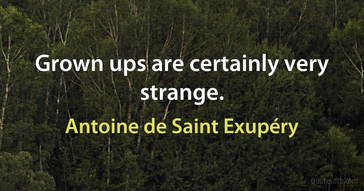 Grown ups are certainly very strange. (Antoine de Saint Exupéry)