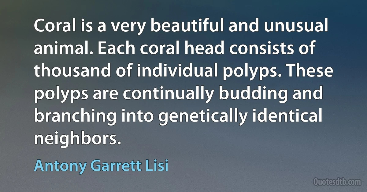 Coral is a very beautiful and unusual animal. Each coral head consists of thousand of individual polyps. These polyps are continually budding and branching into genetically identical neighbors. (Antony Garrett Lisi)