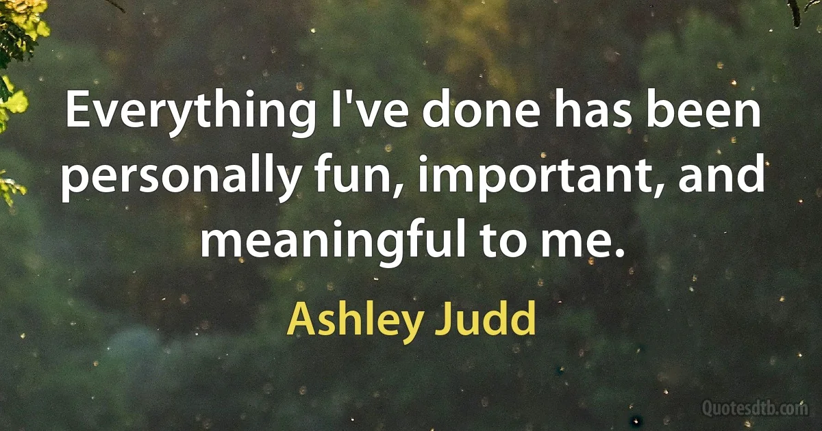 Everything I've done has been personally fun, important, and meaningful to me. (Ashley Judd)