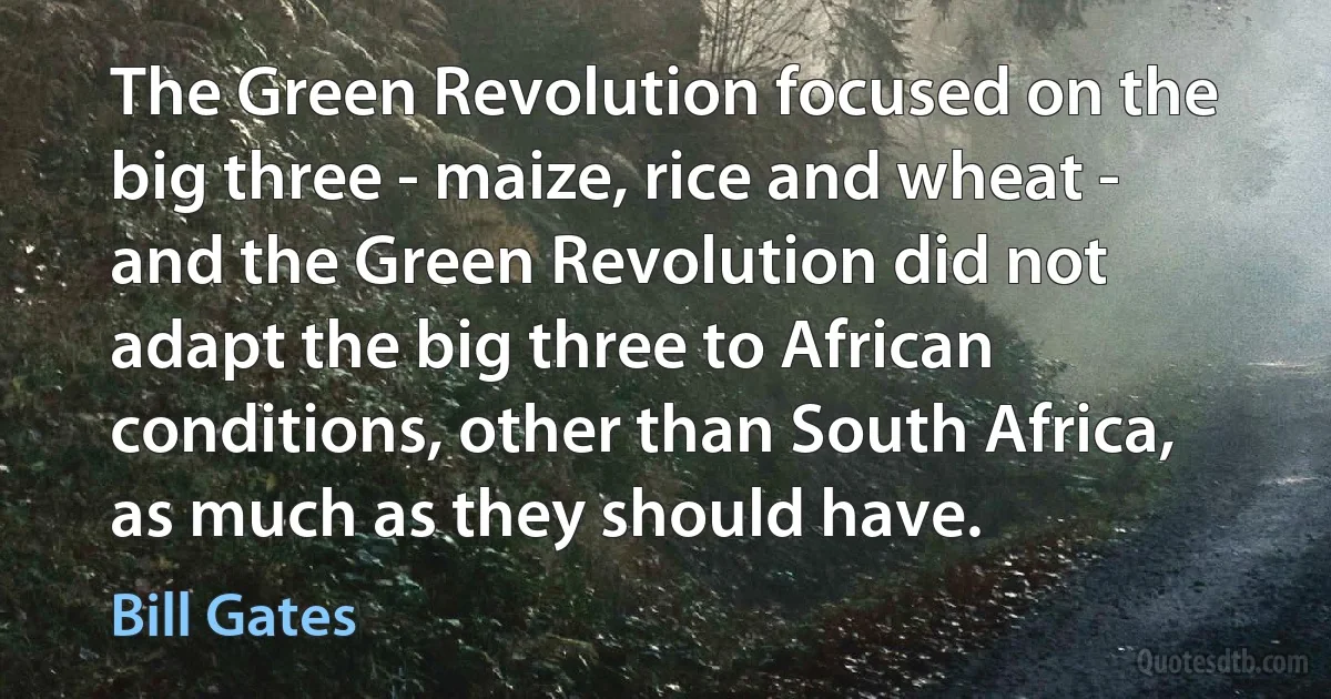 The Green Revolution focused on the big three - maize, rice and wheat - and the Green Revolution did not adapt the big three to African conditions, other than South Africa, as much as they should have. (Bill Gates)