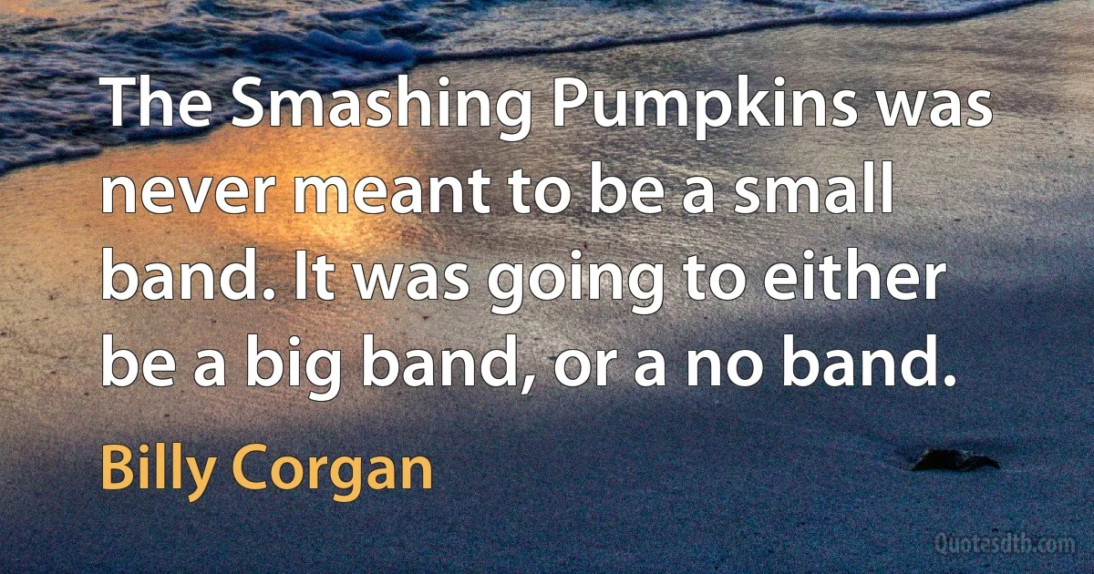 The Smashing Pumpkins was never meant to be a small band. It was going to either be a big band, or a no band. (Billy Corgan)