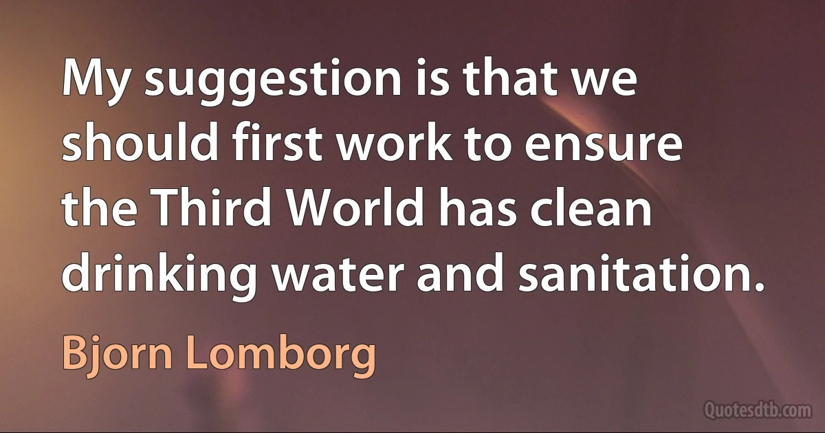 My suggestion is that we should first work to ensure the Third World has clean drinking water and sanitation. (Bjorn Lomborg)