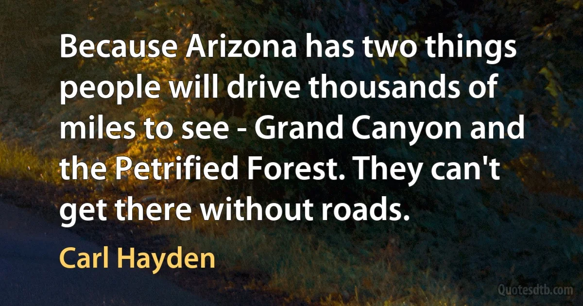 Because Arizona has two things people will drive thousands of miles to see - Grand Canyon and the Petrified Forest. They can't get there without roads. (Carl Hayden)