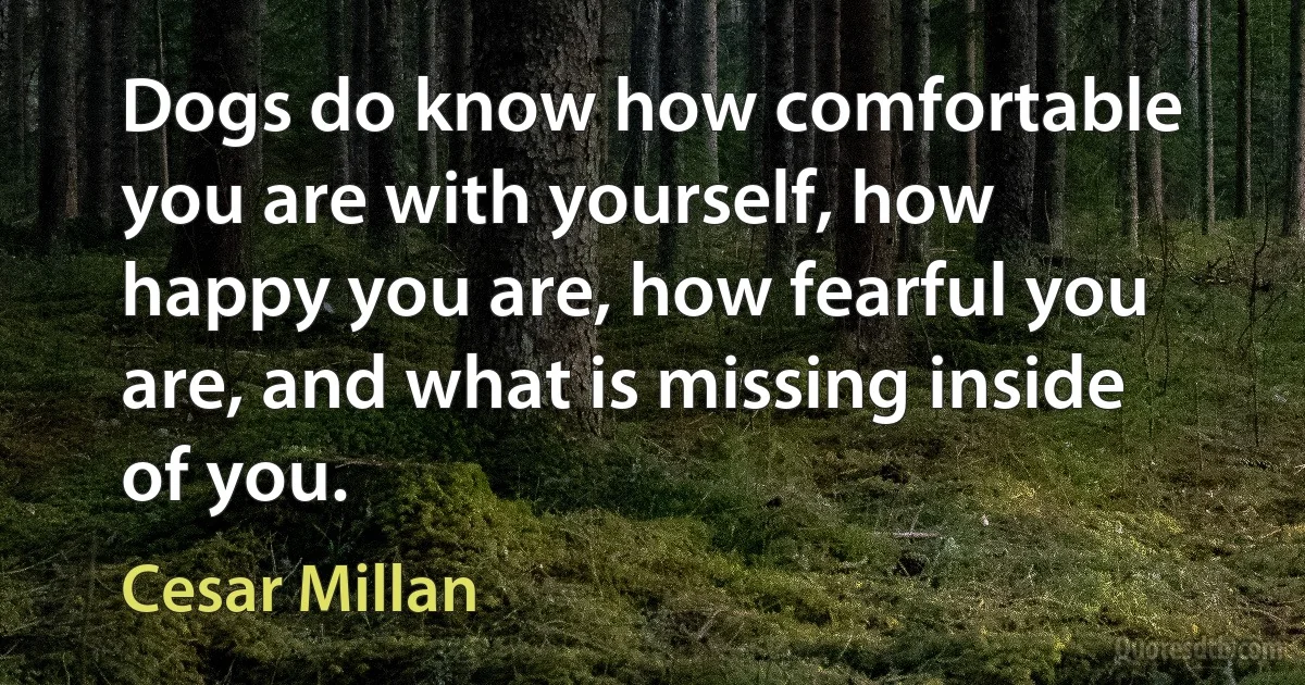 Dogs do know how comfortable you are with yourself, how happy you are, how fearful you are, and what is missing inside of you. (Cesar Millan)