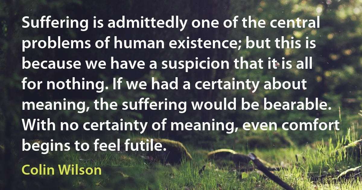 Suffering is admittedly one of the central problems of human existence; but this is because we have a suspicion that it is all for nothing. If we had a certainty about meaning, the suffering would be bearable. With no certainty of meaning, even comfort begins to feel futile. (Colin Wilson)