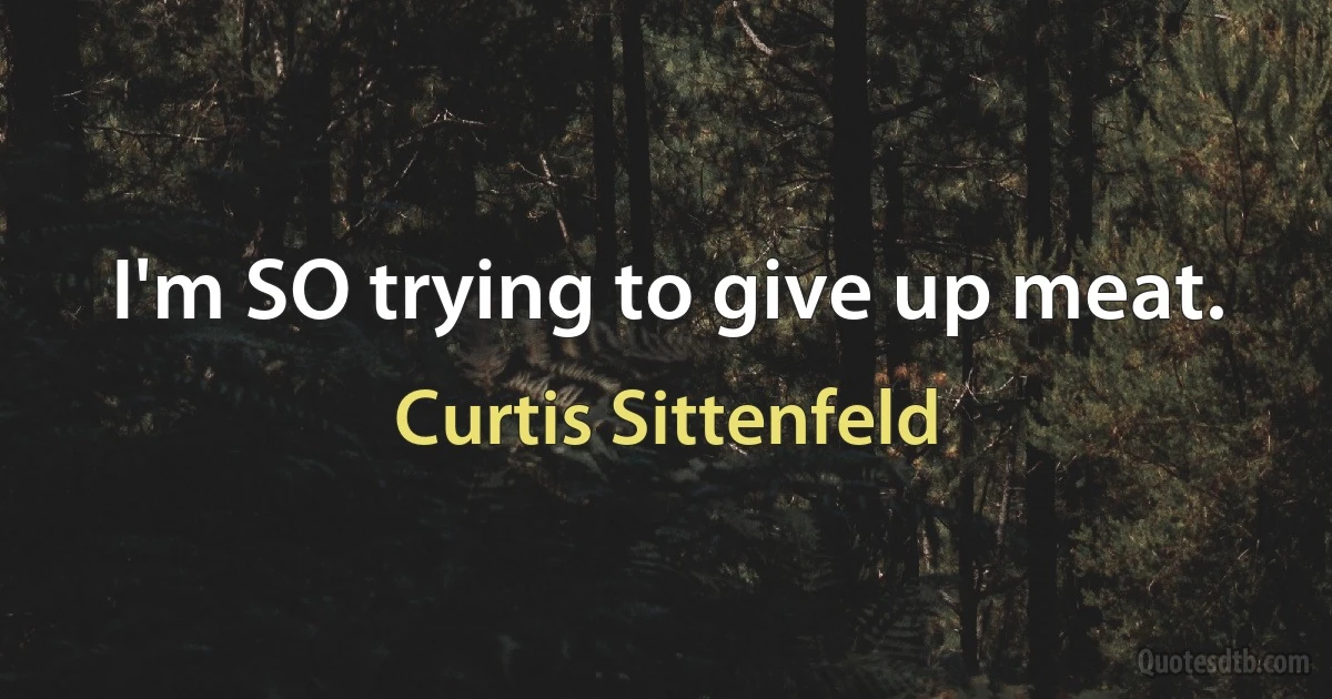 I'm SO trying to give up meat. (Curtis Sittenfeld)