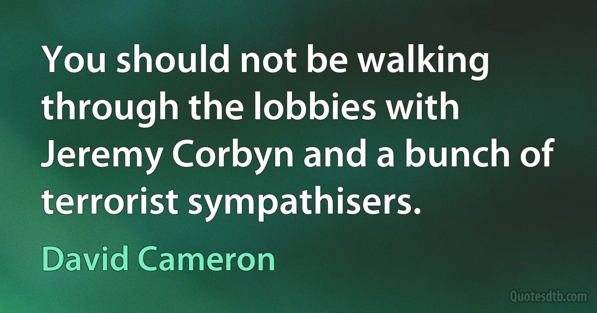 You should not be walking through the lobbies with Jeremy Corbyn and a bunch of terrorist sympathisers. (David Cameron)