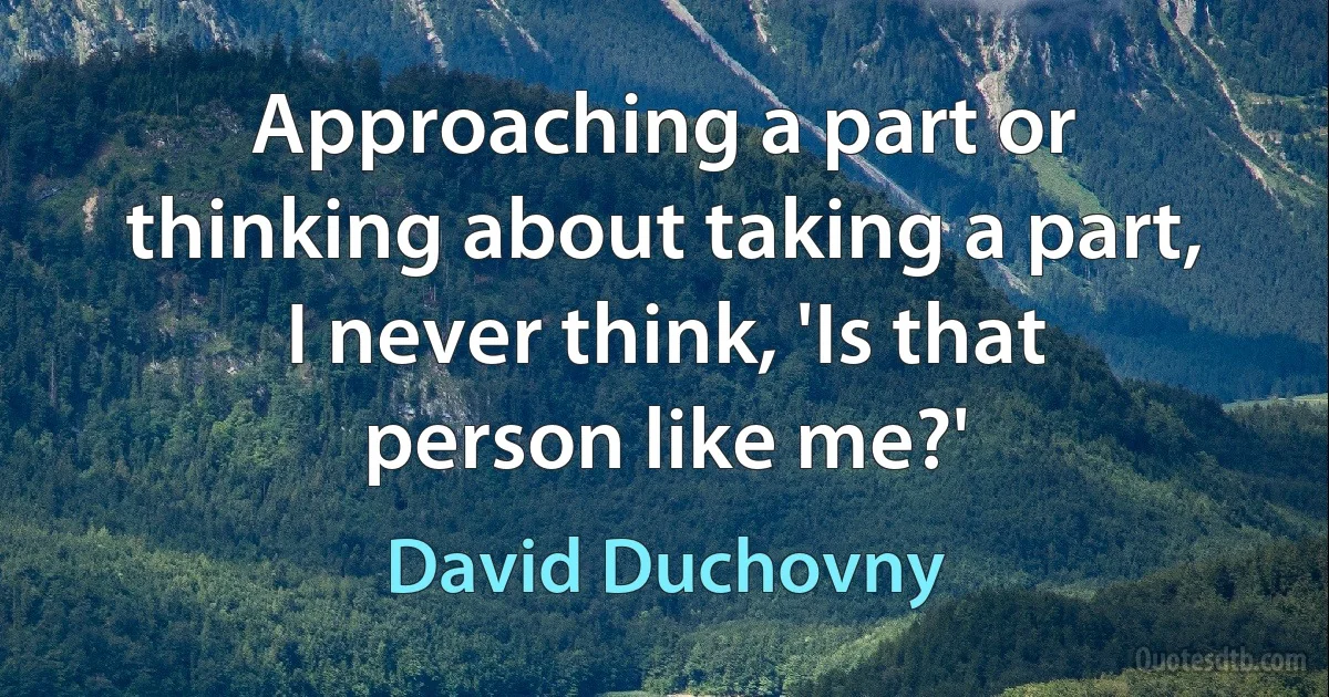 Approaching a part or thinking about taking a part, I never think, 'Is that person like me?' (David Duchovny)