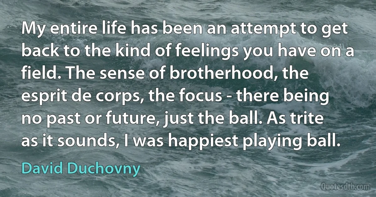 My entire life has been an attempt to get back to the kind of feelings you have on a field. The sense of brotherhood, the esprit de corps, the focus - there being no past or future, just the ball. As trite as it sounds, I was happiest playing ball. (David Duchovny)