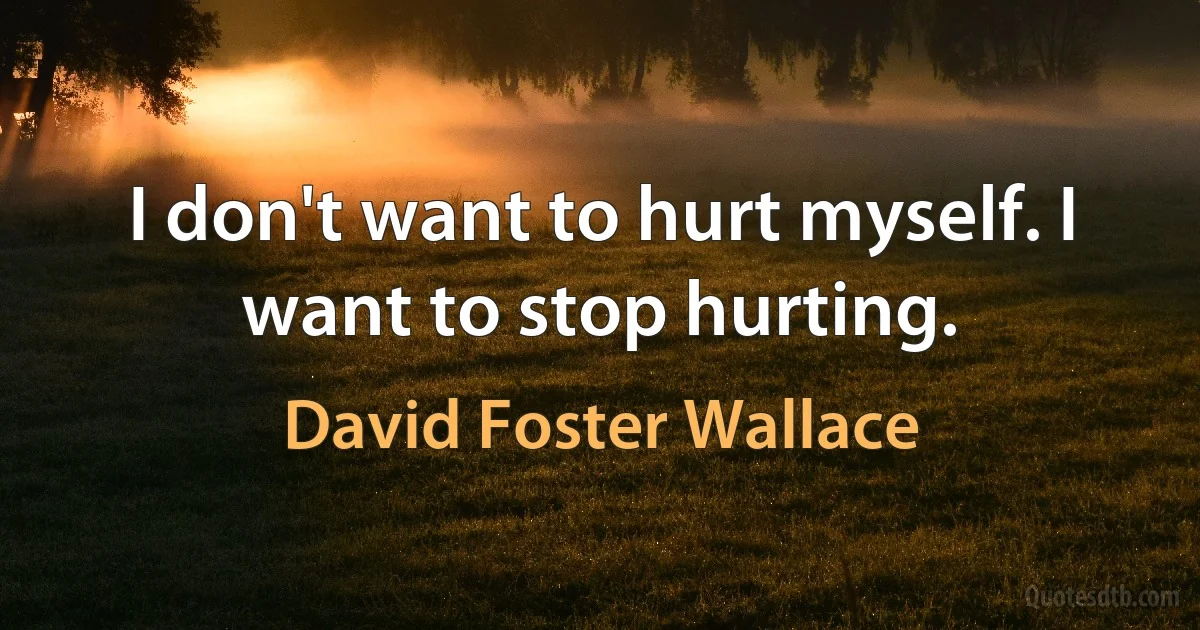 I don't want to hurt myself. I want to stop hurting. (David Foster Wallace)