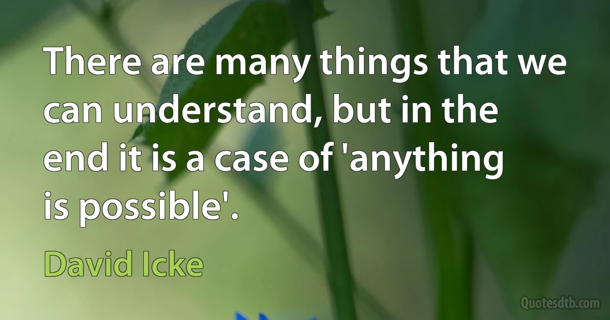 There are many things that we can understand, but in the end it is a case of 'anything is possible'. (David Icke)