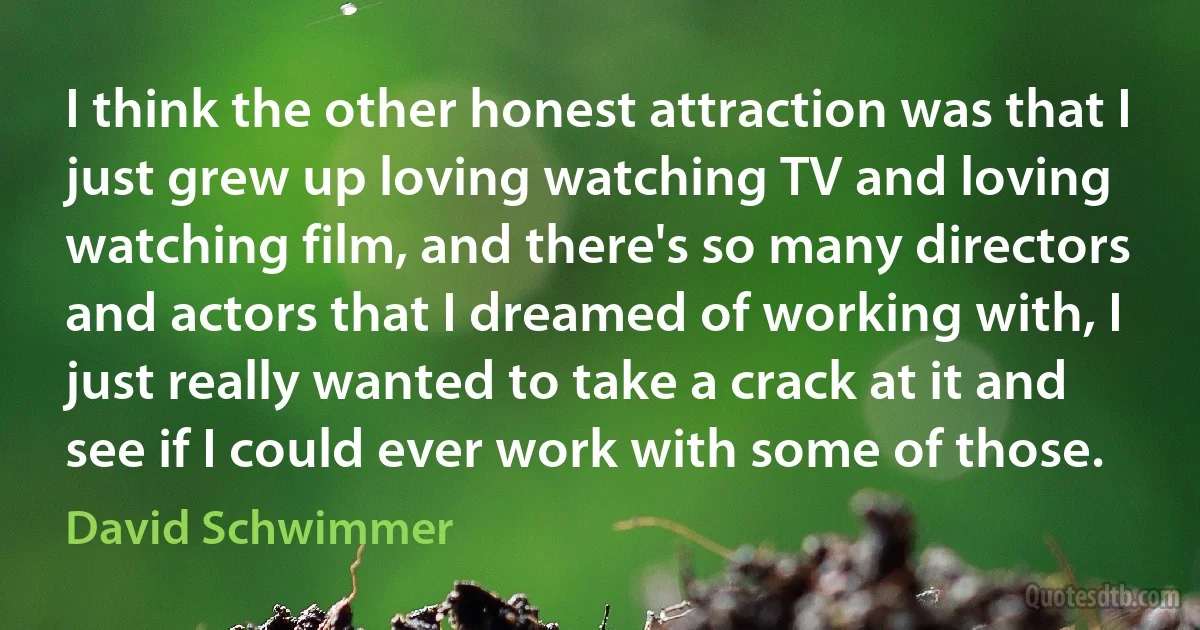 I think the other honest attraction was that I just grew up loving watching TV and loving watching film, and there's so many directors and actors that I dreamed of working with, I just really wanted to take a crack at it and see if I could ever work with some of those. (David Schwimmer)