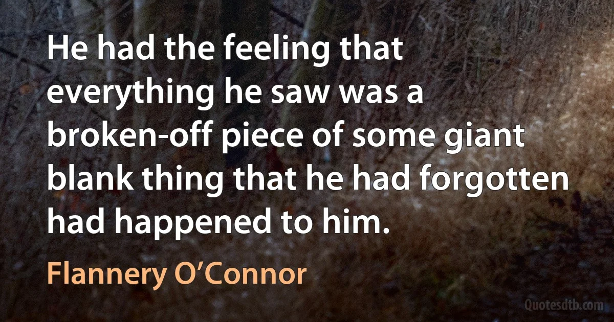 He had the feeling that everything he saw was a broken-off piece of some giant blank thing that he had forgotten had happened to him. (Flannery O’Connor)