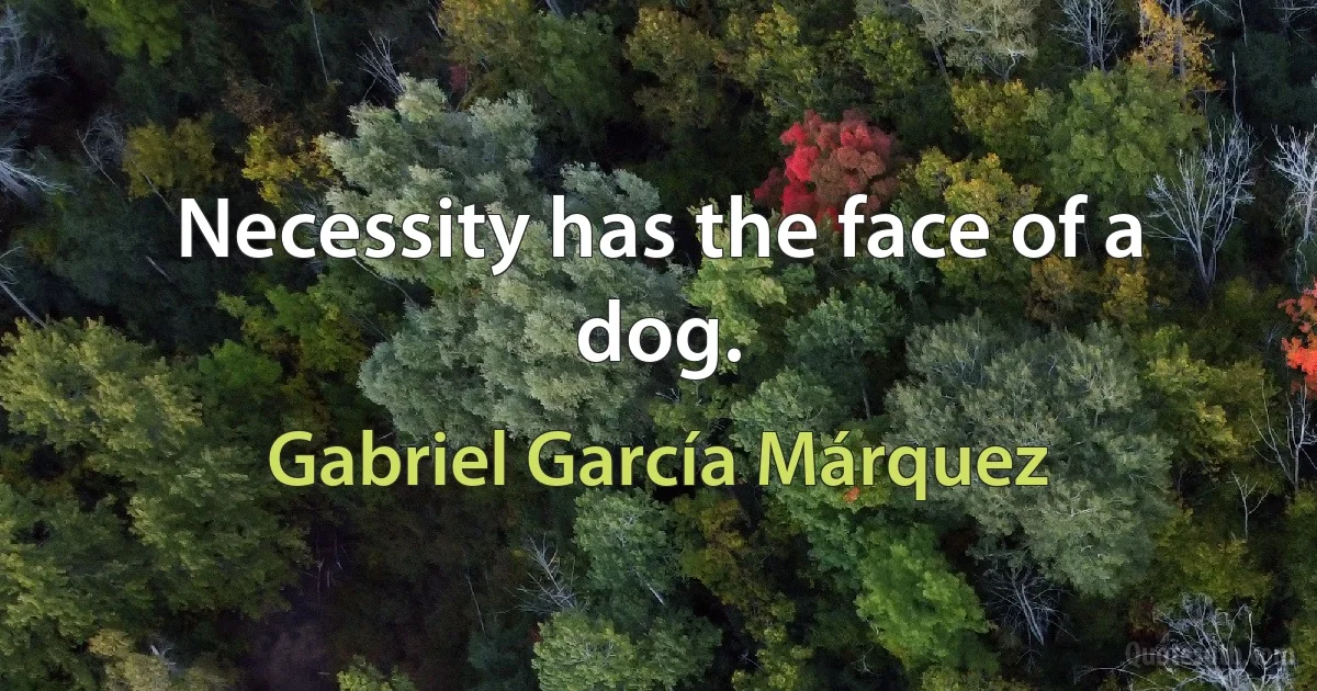 Necessity has the face of a dog. (Gabriel García Márquez)