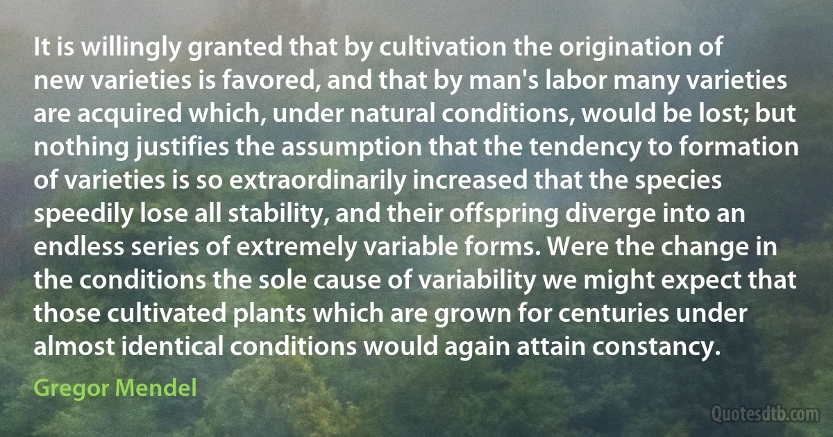 It is willingly granted that by cultivation the origination of new varieties is favored, and that by man's labor many varieties are acquired which, under natural conditions, would be lost; but nothing justifies the assumption that the tendency to formation of varieties is so extraordinarily increased that the species speedily lose all stability, and their offspring diverge into an endless series of extremely variable forms. Were the change in the conditions the sole cause of variability we might expect that those cultivated plants which are grown for centuries under almost identical conditions would again attain constancy. (Gregor Mendel)