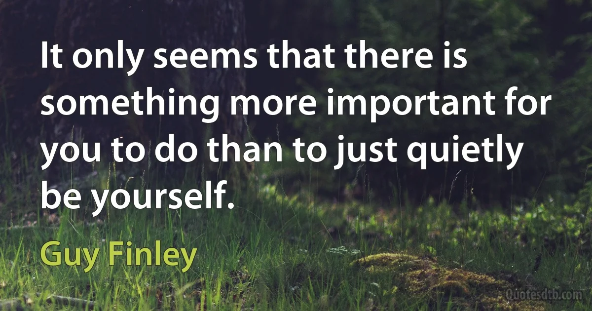 It only seems that there is something more important for you to do than to just quietly be yourself. (Guy Finley)