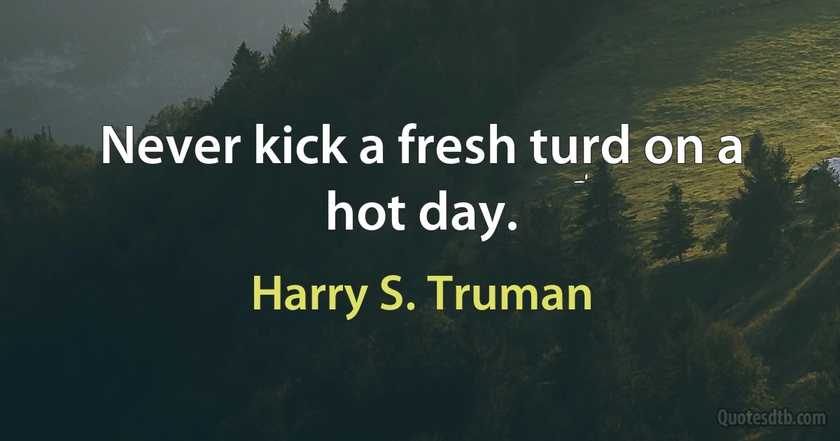 Never kick a fresh turd on a hot day. (Harry S. Truman)