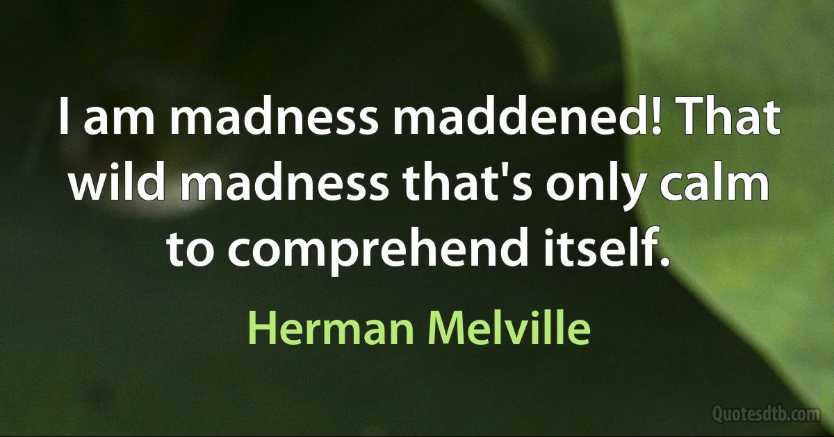 I am madness maddened! That wild madness that's only calm to comprehend itself. (Herman Melville)