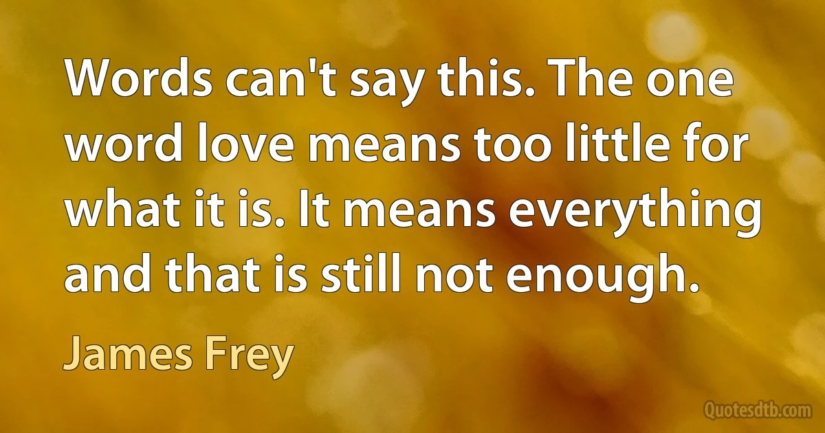 Words can't say this. The one word love means too little for what it is. It means everything and that is still not enough. (James Frey)