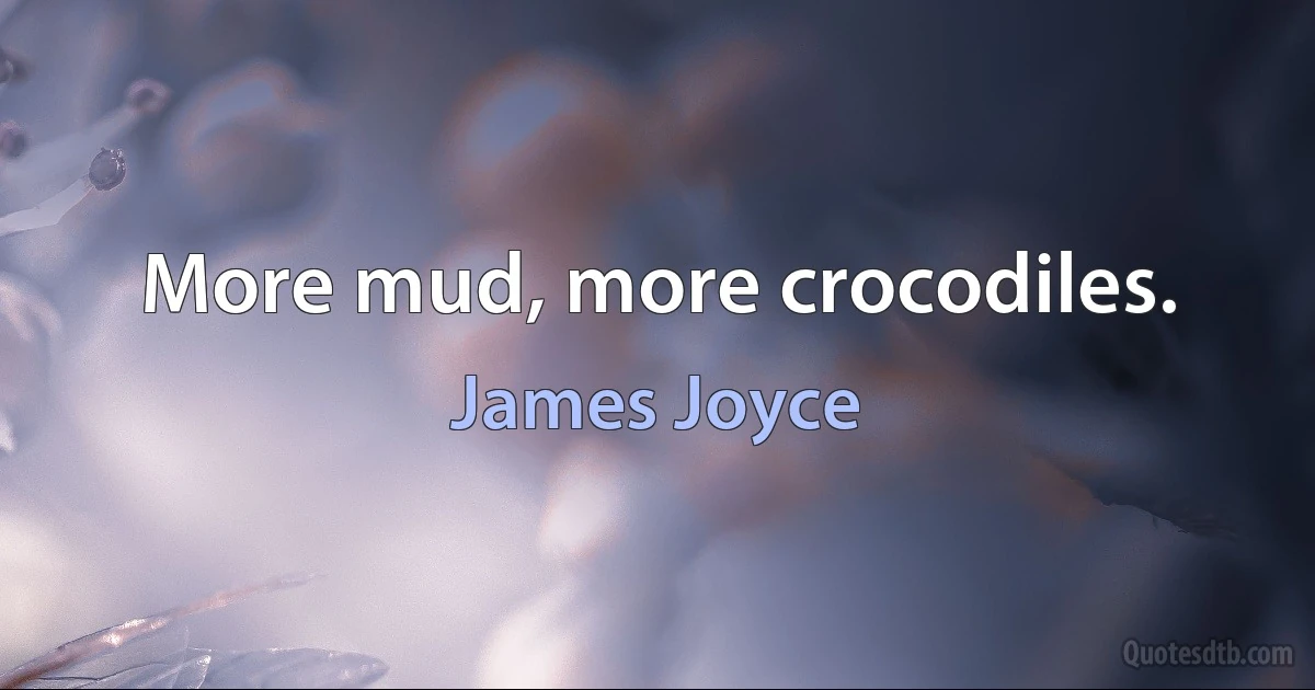 More mud, more crocodiles. (James Joyce)