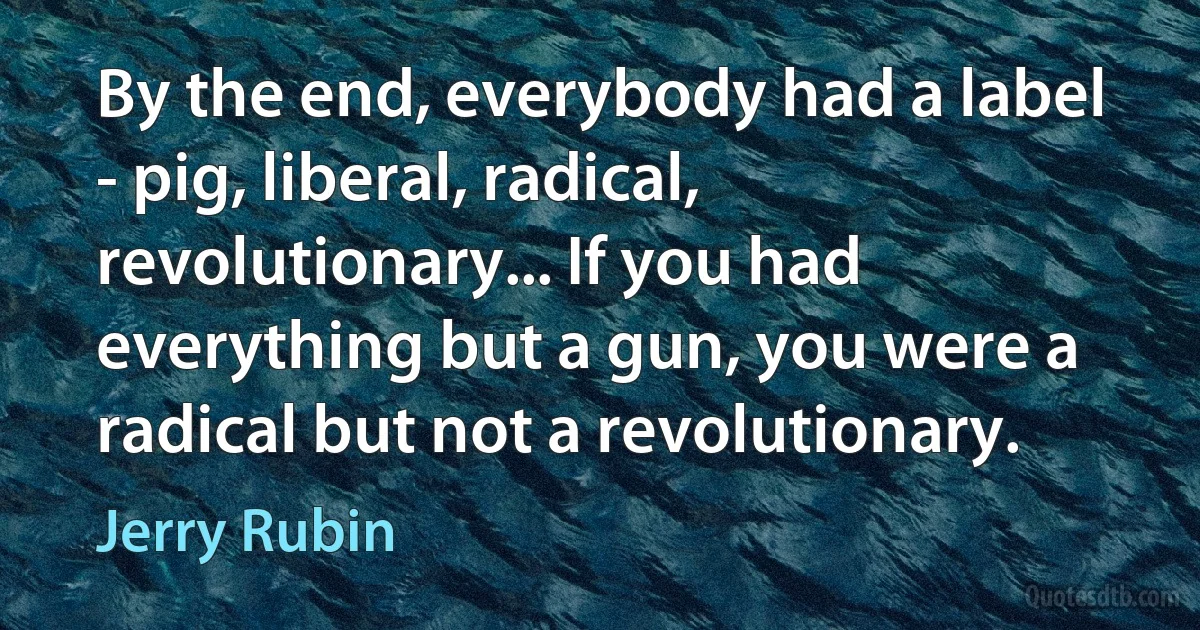 By the end, everybody had a label - pig, liberal, radical, revolutionary... If you had everything but a gun, you were a radical but not a revolutionary. (Jerry Rubin)