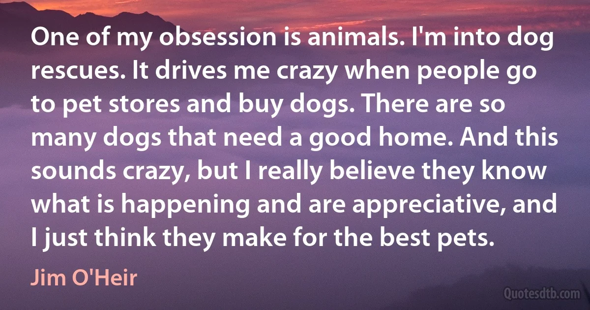 One of my obsession is animals. I'm into dog rescues. It drives me crazy when people go to pet stores and buy dogs. There are so many dogs that need a good home. And this sounds crazy, but I really believe they know what is happening and are appreciative, and I just think they make for the best pets. (Jim O'Heir)