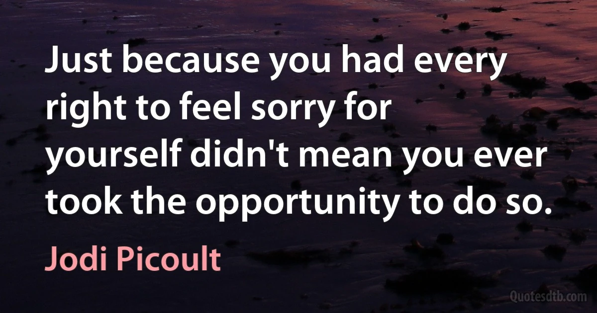 Just because you had every right to feel sorry for yourself didn't mean you ever took the opportunity to do so. (Jodi Picoult)