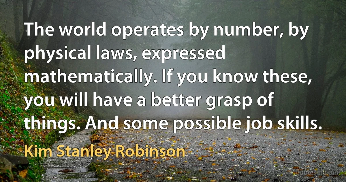 The world operates by number, by physical laws, expressed mathematically. If you know these, you will have a better grasp of things. And some possible job skills. (Kim Stanley Robinson)