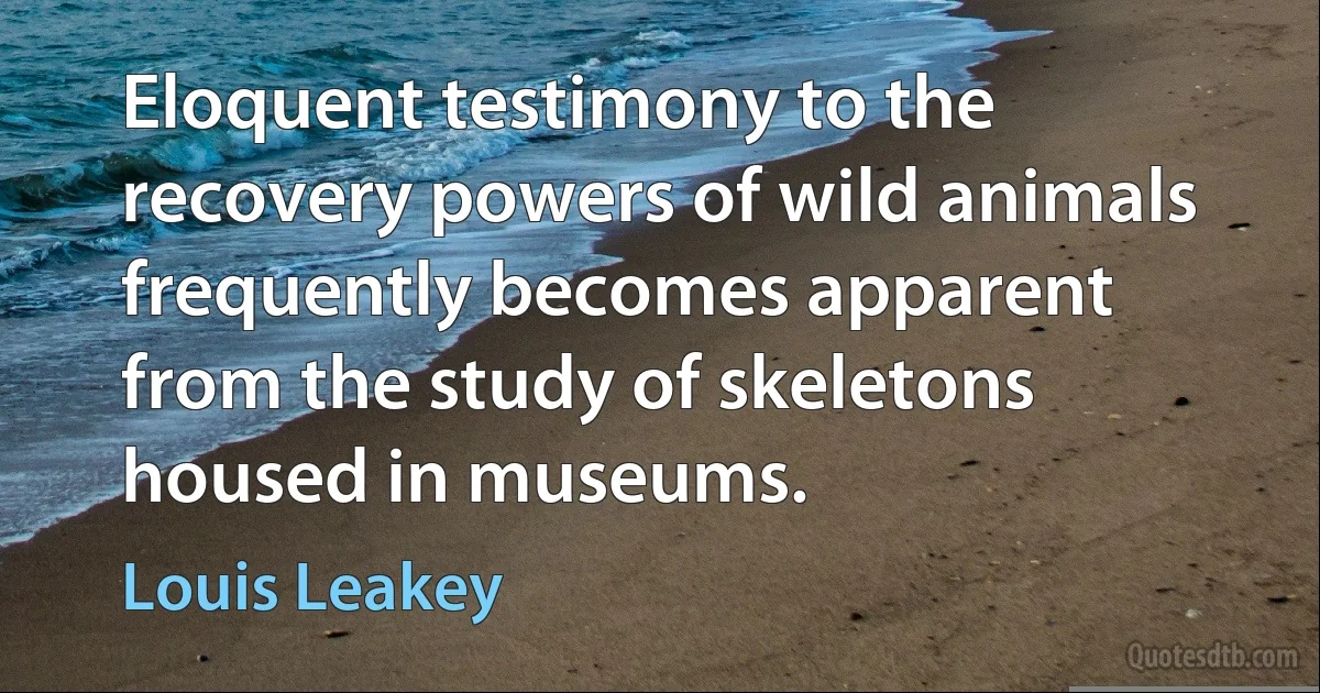 Eloquent testimony to the recovery powers of wild animals frequently becomes apparent from the study of skeletons housed in museums. (Louis Leakey)