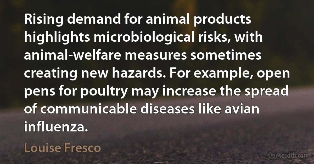 Rising demand for animal products highlights microbiological risks, with animal-welfare measures sometimes creating new hazards. For example, open pens for poultry may increase the spread of communicable diseases like avian influenza. (Louise Fresco)