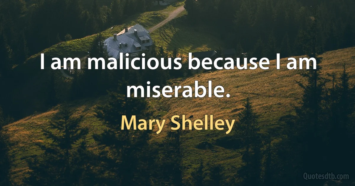 I am malicious because I am miserable. (Mary Shelley)