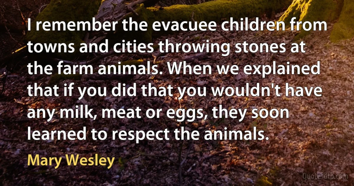 I remember the evacuee children from towns and cities throwing stones at the farm animals. When we explained that if you did that you wouldn't have any milk, meat or eggs, they soon learned to respect the animals. (Mary Wesley)