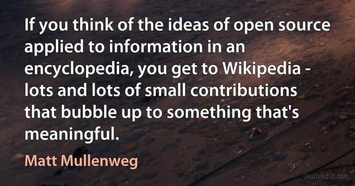 If you think of the ideas of open source applied to information in an encyclopedia, you get to Wikipedia - lots and lots of small contributions that bubble up to something that's meaningful. (Matt Mullenweg)