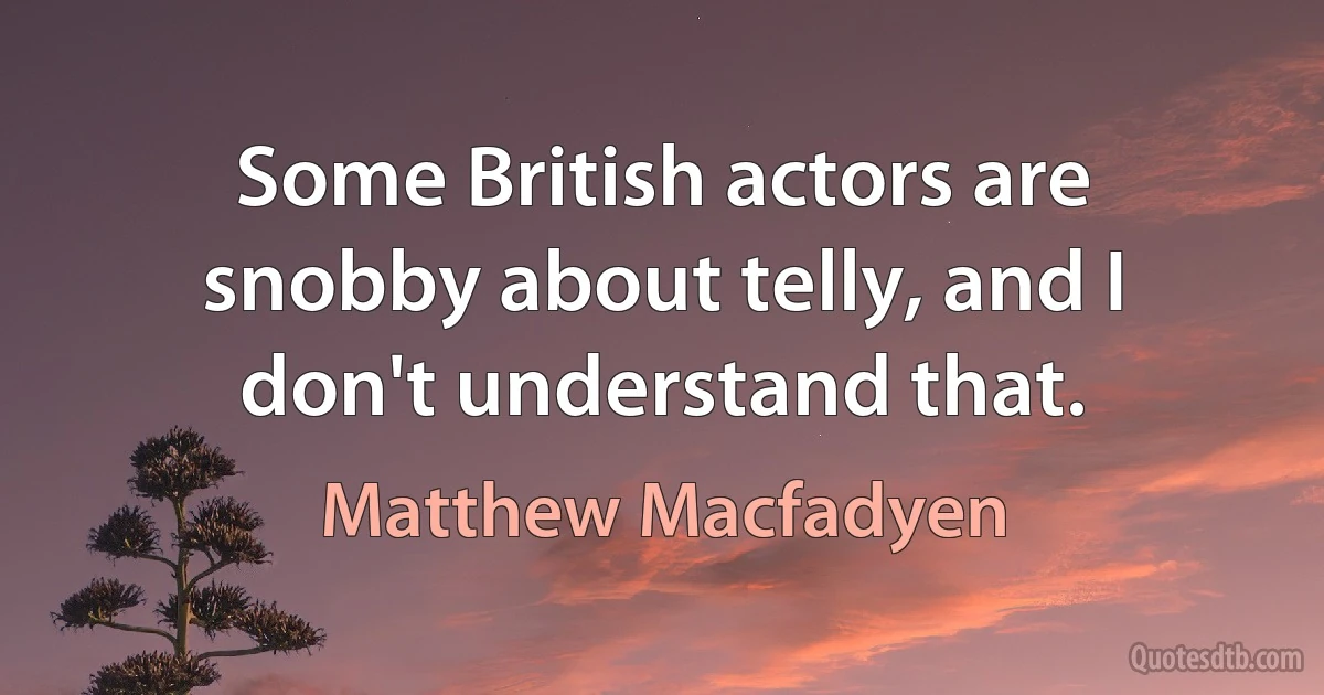 Some British actors are snobby about telly, and I don't understand that. (Matthew Macfadyen)